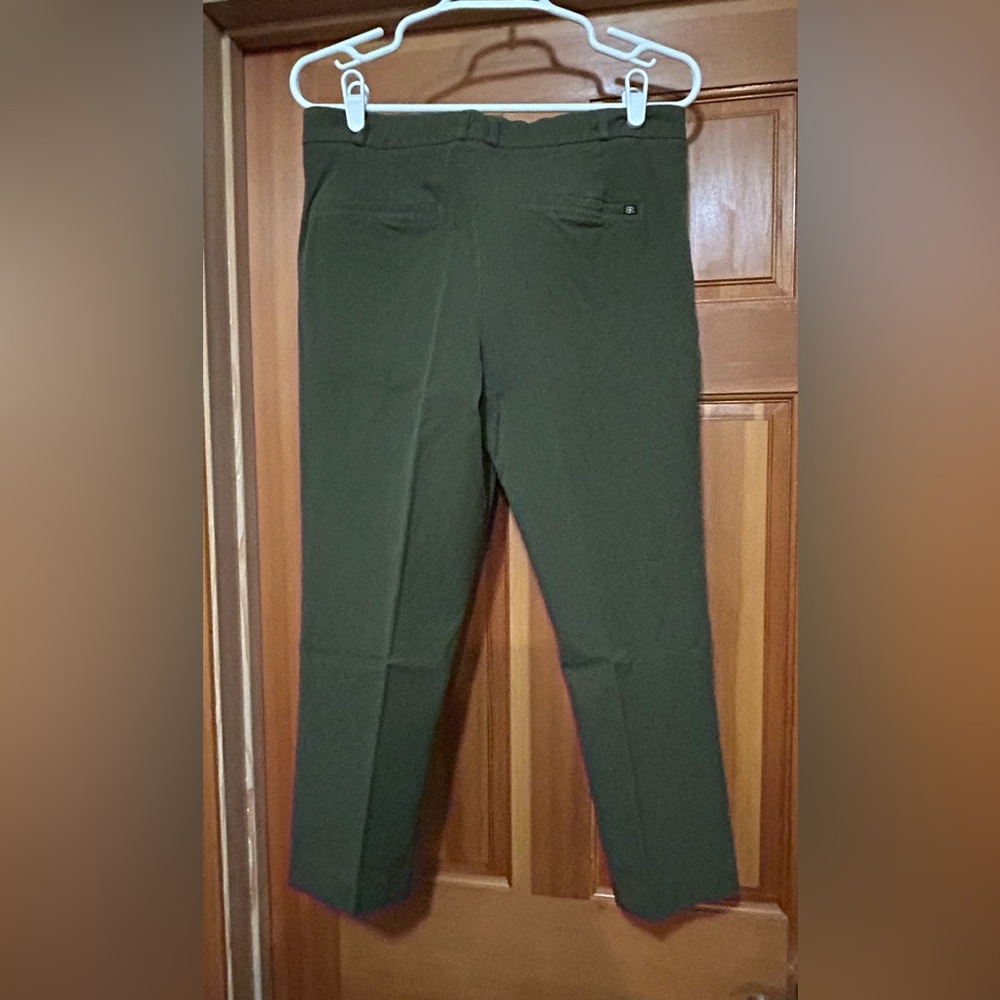 Banana Republic Green Chinos, Capri with Smooth Finish - Picture 2 of 7